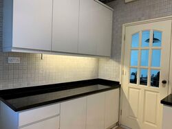 Buona Vista Gardens (D5), Condominium #583985041